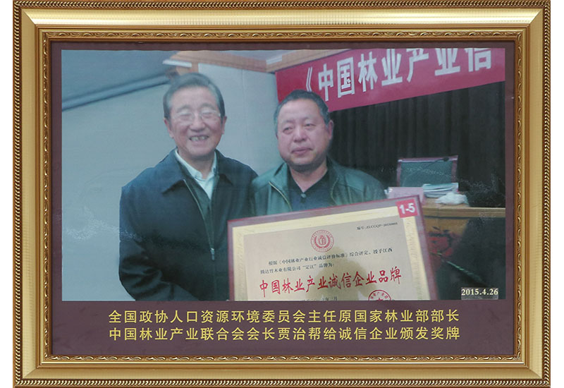 全國政協(xié)人口資源環(huán)境委員會(huì)主任原國家林業(yè)部部長中國林業(yè)產(chǎn)業(yè)聯(lián)合會(huì)會(huì)長賈治給誠信企業(yè)頒發(fā)獎(jiǎng)牌